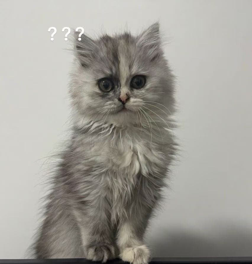 可乐